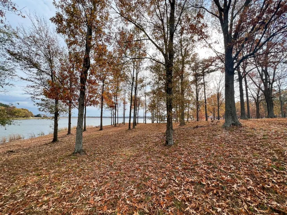 Eagles Nest Drive Mount Vernon, TX 75457