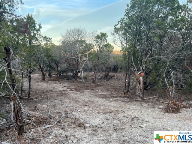 8180 County Road 3640