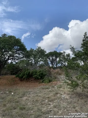 1916 Split Mtn Canyon Lake, TX 78133