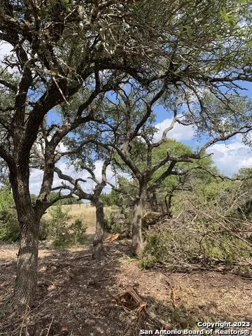 1916 Split Mtn Canyon Lake, TX 78133