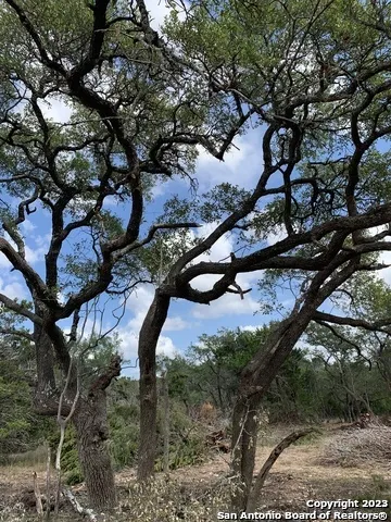 1916 Split Mtn Canyon Lake, TX 78133