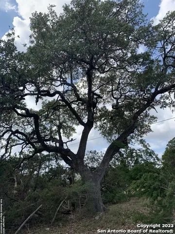 1916 Split Mtn Canyon Lake, TX 78133
