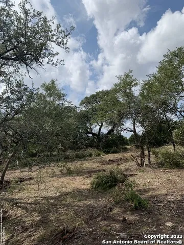 1916 Split Mtn Canyon Lake, TX 78133