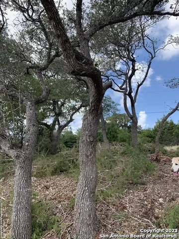 1916 Split Mtn Canyon Lake, TX 78133