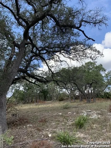 1916 Split Mtn Canyon Lake, TX 78133