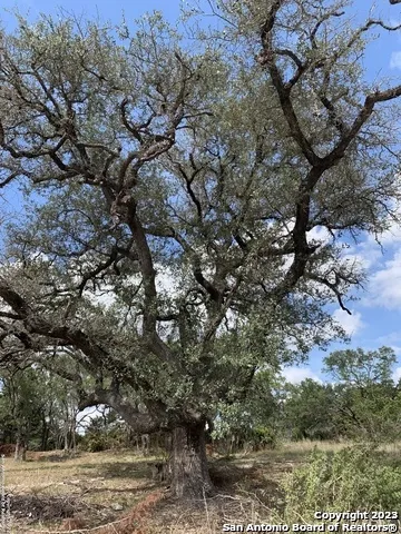 1916 Split Mtn Canyon Lake, TX 78133