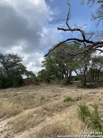 1916 Split Mtn Canyon Lake, TX 78133