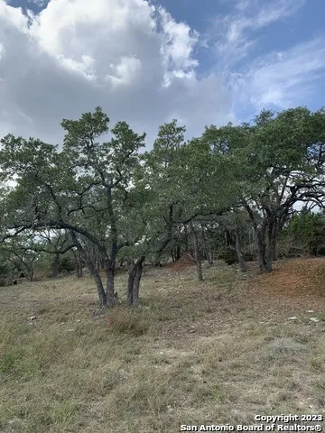 1916 Split Mtn Canyon Lake, TX 78133