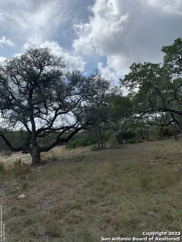 1916 Split Mtn Canyon Lake, TX 78133