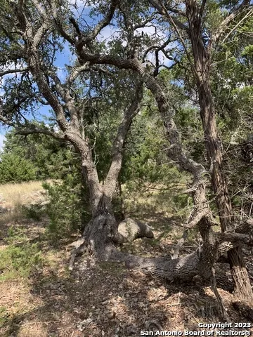 1916 Split Mtn Canyon Lake, TX 78133