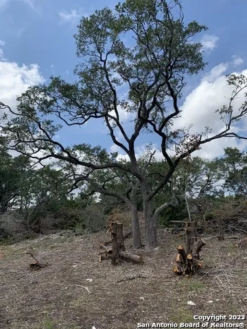 1916 Split Mtn Canyon Lake, TX 78133