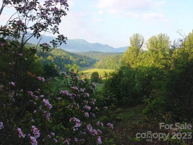 Lot 19 Sunkota Trail Bryson City, NC 28713