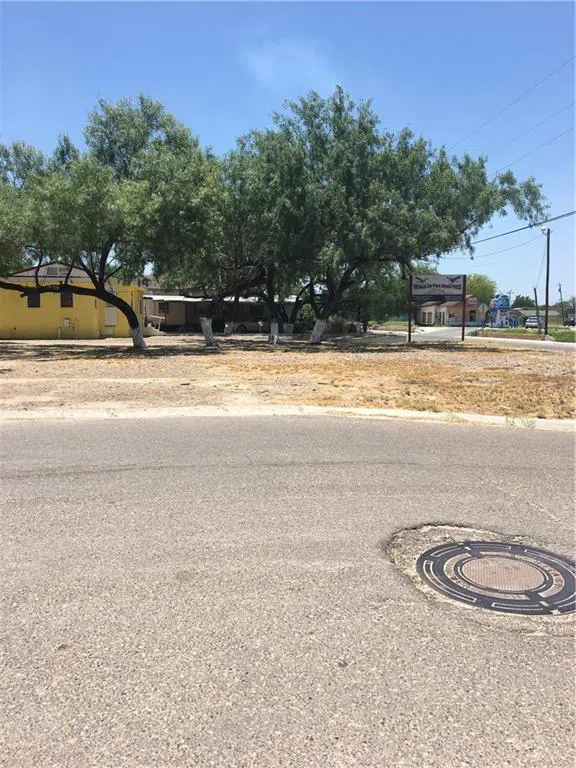 000 Avasolo Street #000 Rio Grande City, TX 78582