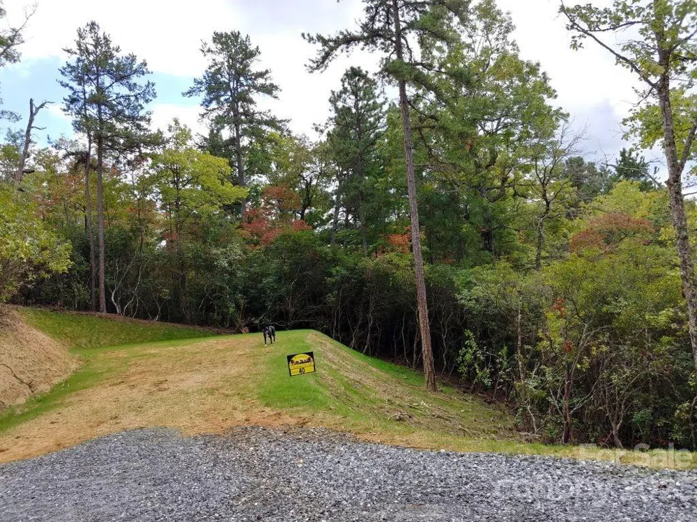 Lot 40 The Knoll Bryson City, NC 28713