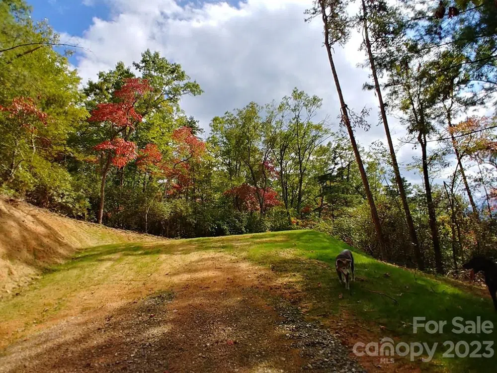 Lot 42 The Knoll Bryson City, NC 28713