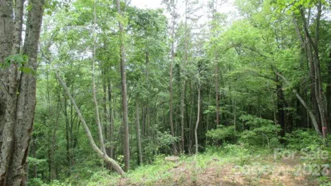 Lot 37 Deeplow Gap