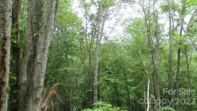 Lot 37 Deeplow Gap Bryson City, NC 28713