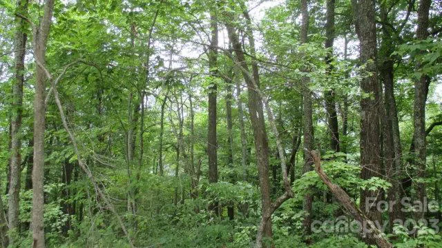 Lot 37 Deeplow Gap Bryson City, NC 28713