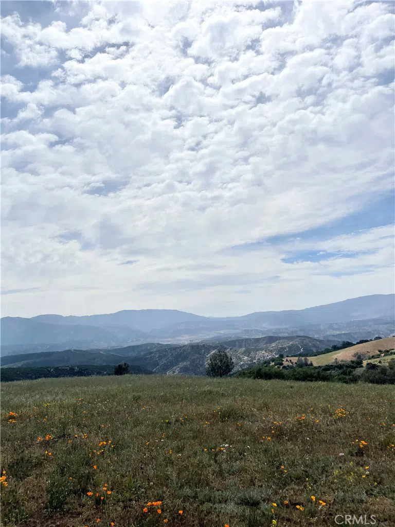 Vac/1/4 Mi S Lanc Rd/1 1/2 Mi E E Gorman, CA 93536