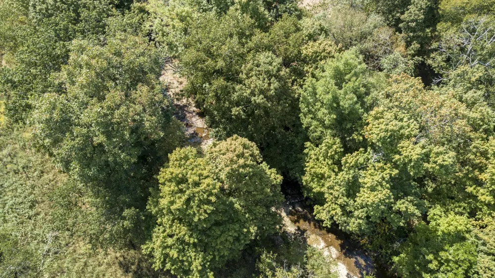 2762 Critz Ln Thompsons Station, TN 37179