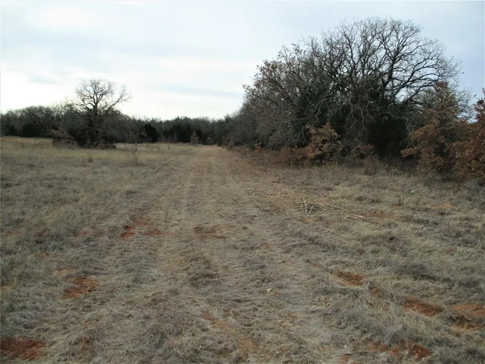 Catholic Cemetery Montague, TX 76251