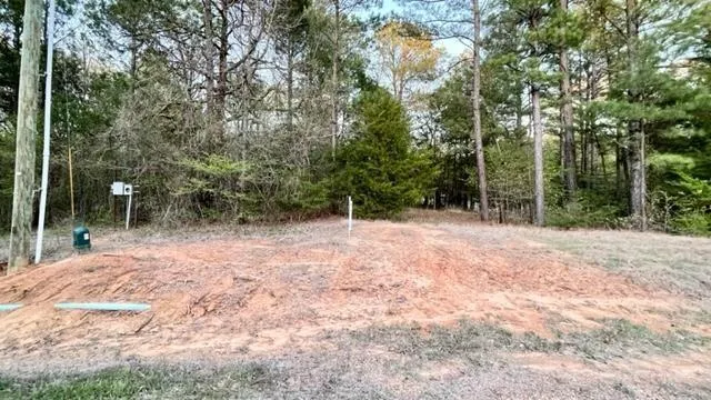 Navasota Mount Vernon, TX 75457