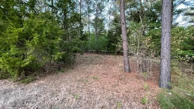 Navasota Mount Vernon, TX 75457