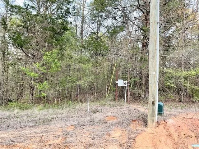 Navasota Mount Vernon, TX 75457
