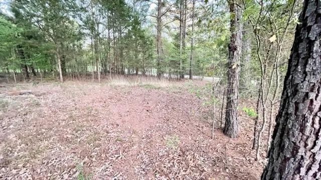 Navasota Mount Vernon, TX 75457