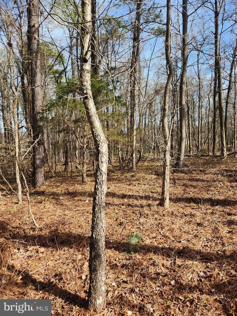 PLANTATION Montross, VA 22520