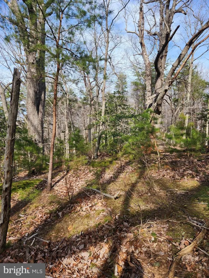 PLANTATION Montross, VA 22520