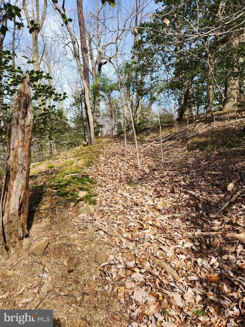 PLANTATION Montross, VA 22520