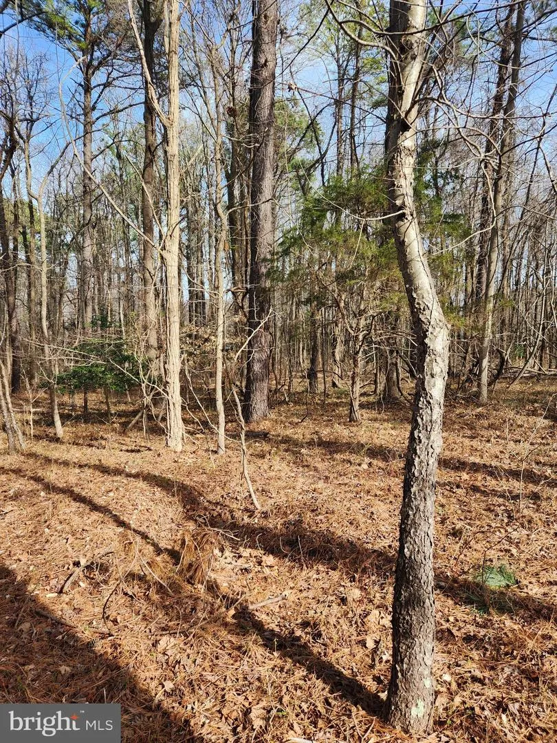 PLANTATION Montross, VA 22520