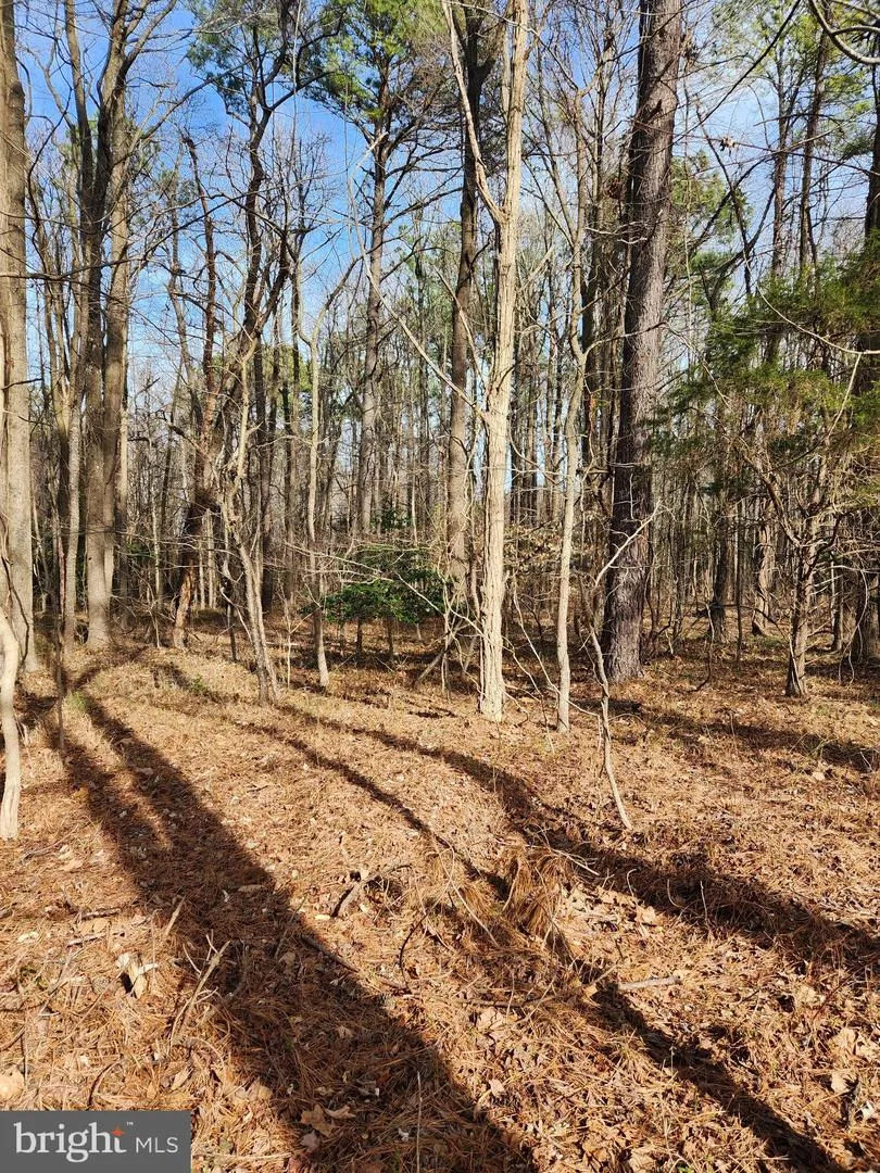 PLANTATION Montross, VA 22520