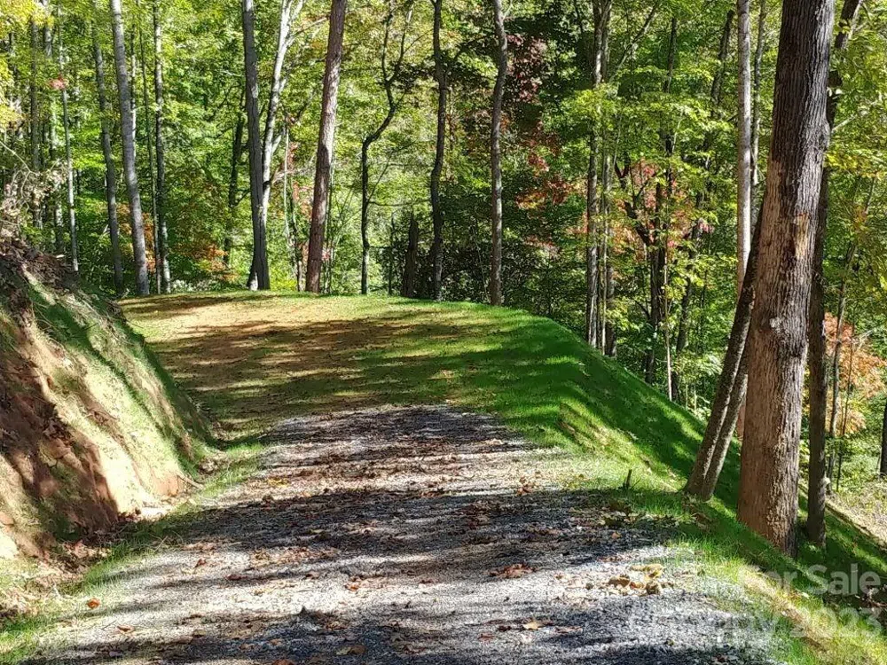 Lot 45 Thomas Divide Way Bryson City, NC 28713