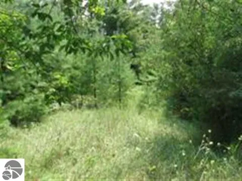 M-55