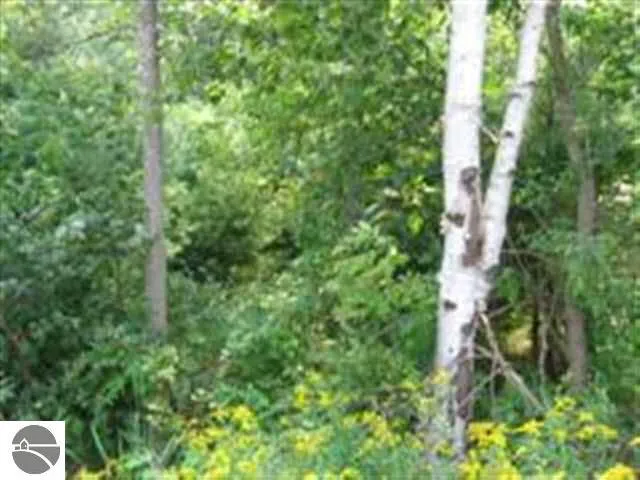 M-55 Tawas Township, MI 48763