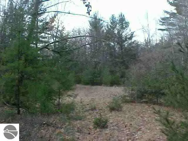 M-55 Tawas Township, MI 48763