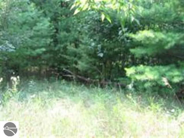 M-55 Tawas Township, MI 48763