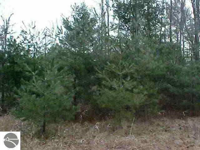 M-55 Tawas Township, MI 48763