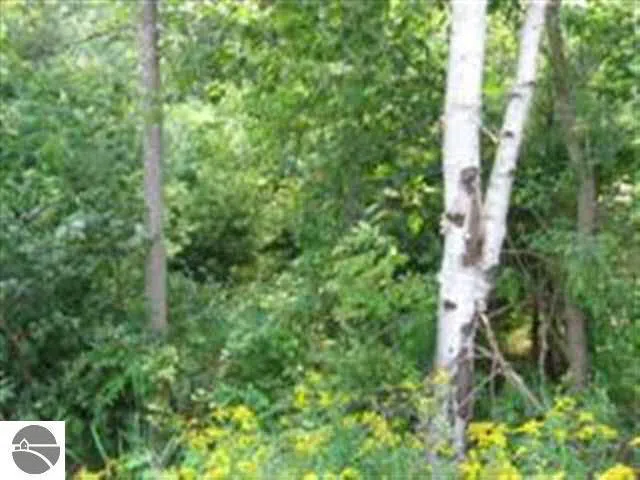 M-55 Tawas Township, MI 48763