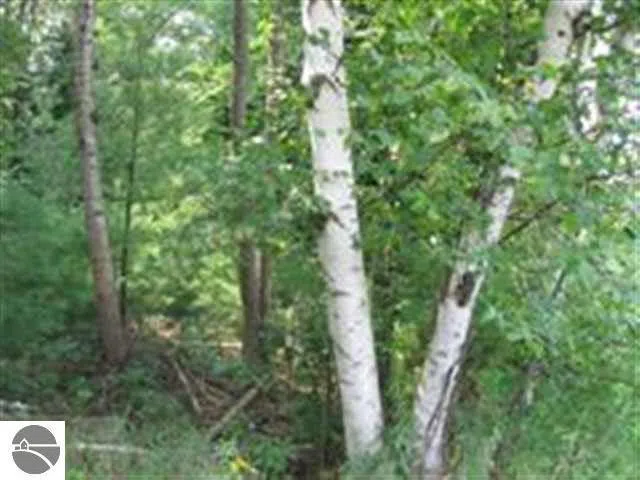 M-55 Tawas Township, MI 48763