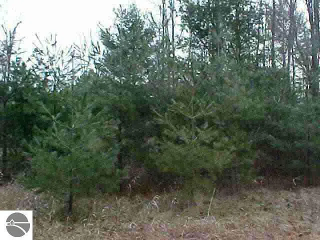 M-55 Tawas Township, MI 48763