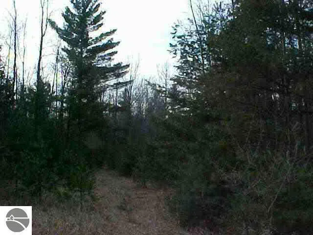 M-55 Tawas Township, MI 48763