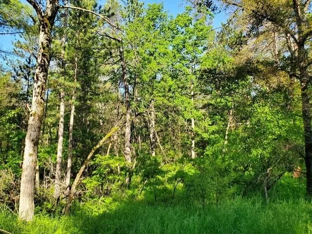 Quigley Road Mills Township, MI 48610