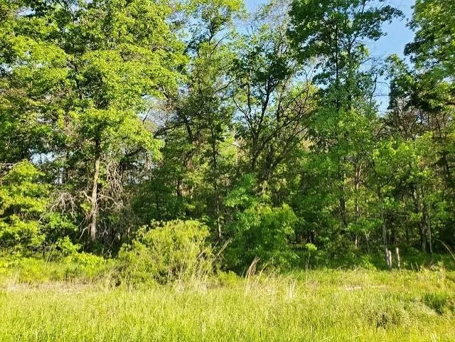 Quigley Road Mills Township, MI 48610