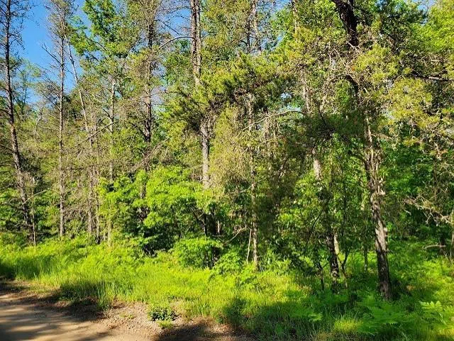 Quigley Road Mills Township, MI 48610
