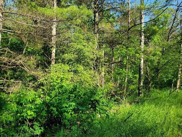Quigley Road Mills Township, MI 48610