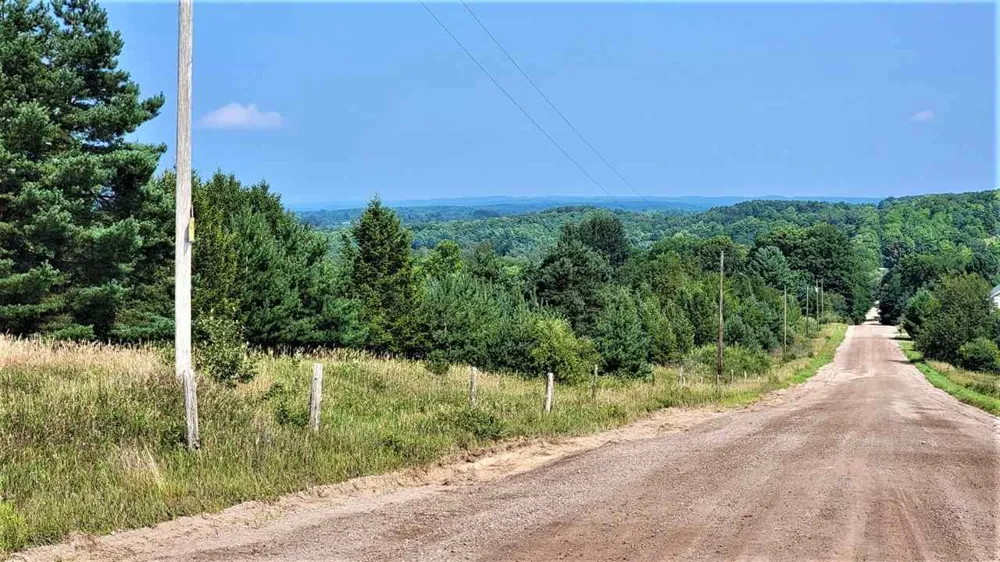 Cemetery Road Helena Township, MI 49612
