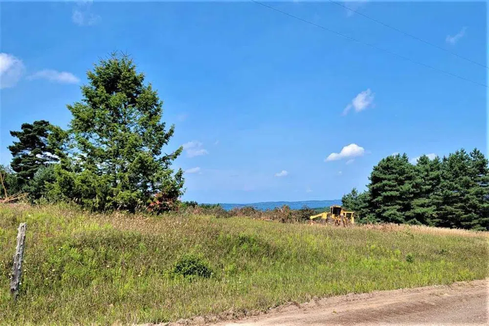 Cemetery Road Helena Township, MI 49612